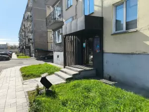 Фотография ТРЕНД 0