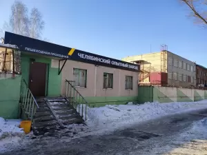 Фотография Группа Ректайм 2