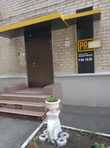 Фотография Элефант 3